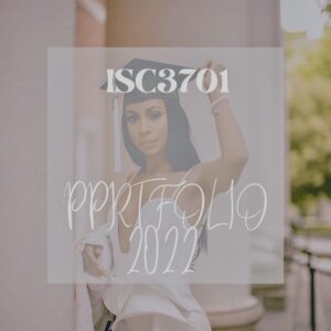 bpt1501 assignment 7 portfolio 2022