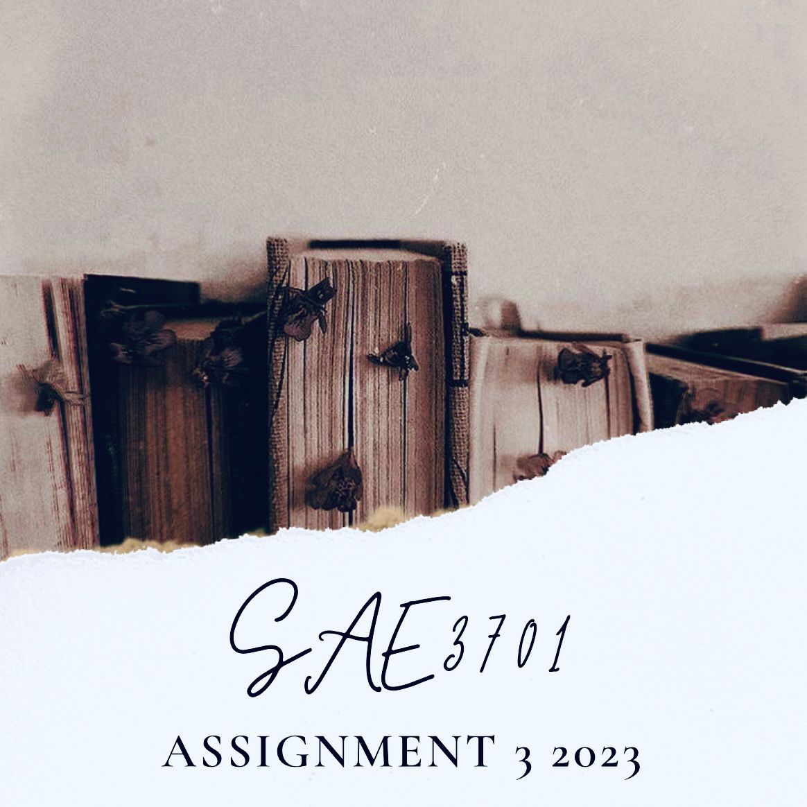sae3701 assignment 3 memorandum